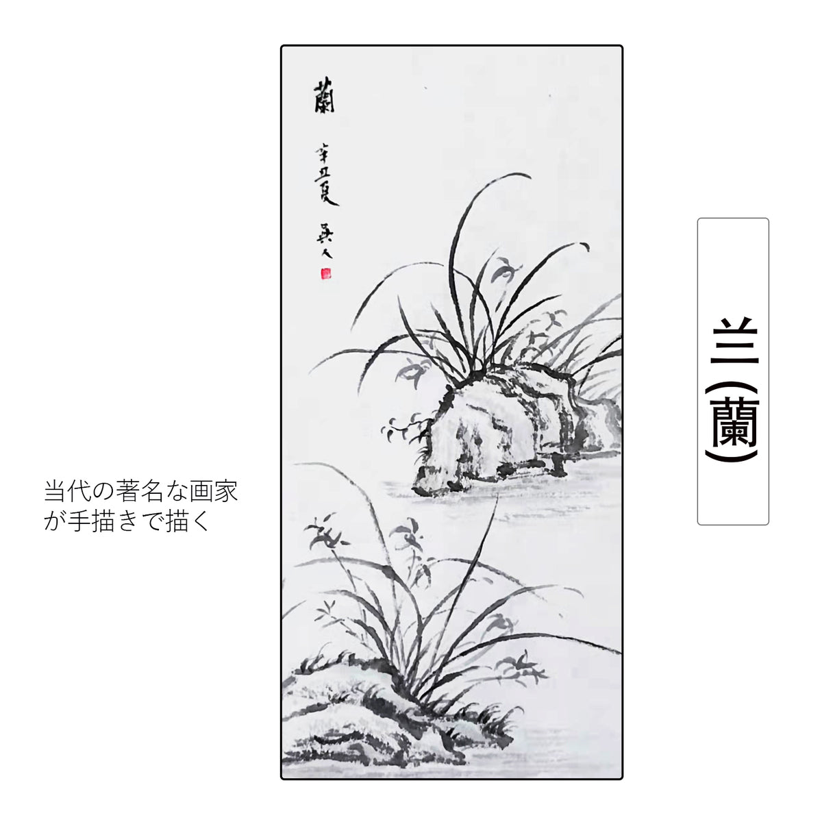 【蘭】四君子 四季花鳥水墨画 掛け軸 掛軸 画家の手描き中国書画 美術国粋 和室 床の間 茶道道具 開運 茶室の掛け軸 表装 年中掛け 中国の掛け軸  茶掛 – okakejiku