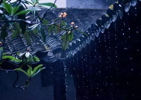 日本の掛軸文化：雨を聴く诗意と禅意